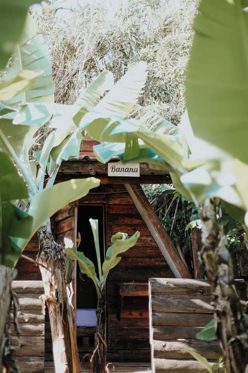 Banana Eco Camp