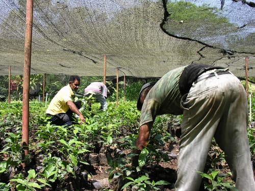 Privatrundreise "Höhepunkte Dominikanische Republik"
