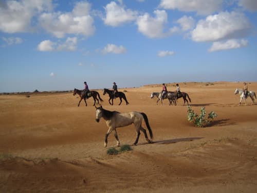 Marocco: la sabbia dorata di Agadir