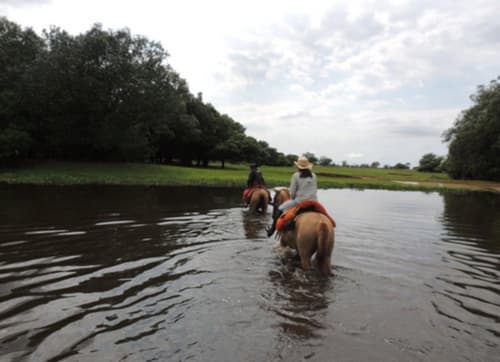Pantanal: la riserva della biosfera del Pantanal
