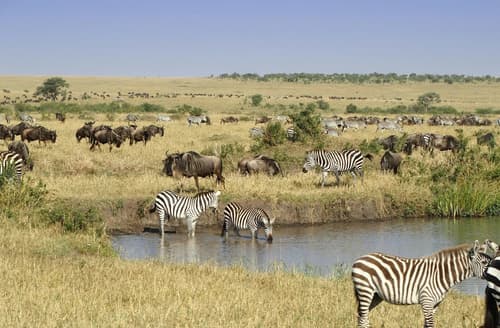 Safari Terre della Tanzania – Serena