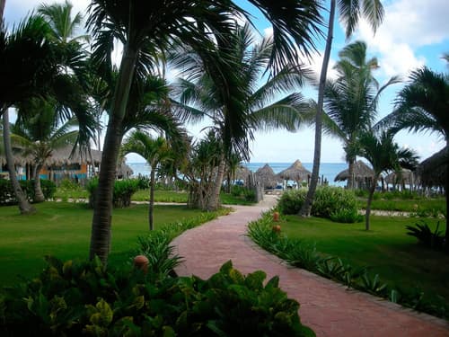 VIK Hotel Arena Blanca, HOTEL