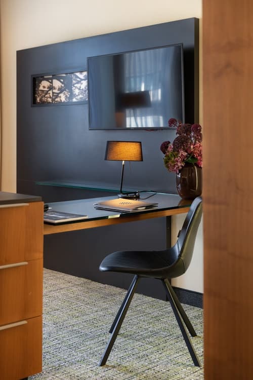 Pullman Eindhoven Cocagne