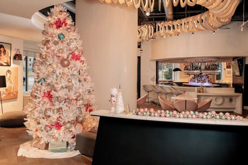 Hotel Zena Washington DC, Lobby