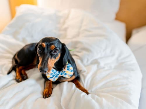 ibis Düsseldorf Hauptbahnhof