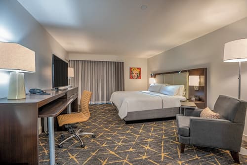 Holiday Inn New Orleans - Downtown Superdome by IHG, Room