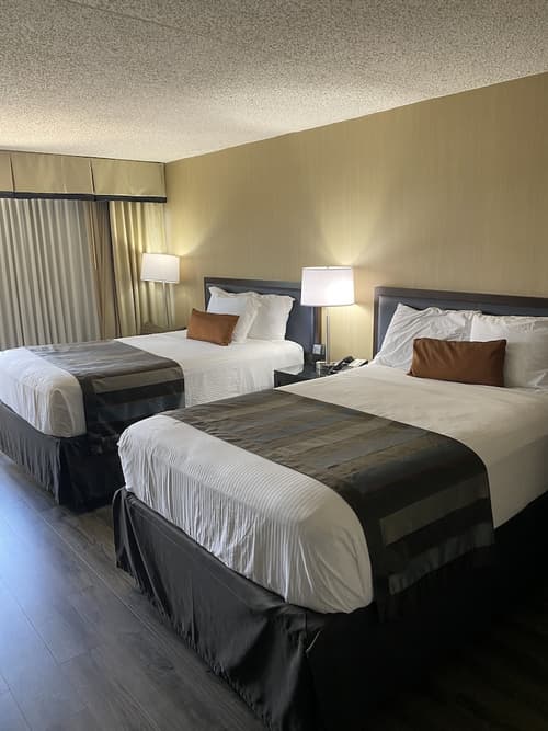 Wingate by Wyndham Springfield, Room