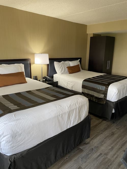 Wingate by Wyndham Springfield, Room