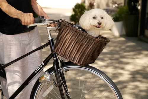 Generator Hotel Washington DC