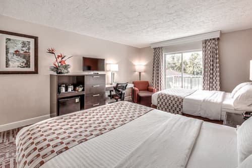 Inn of Naples, Tapestry Collection by Hilton, Room