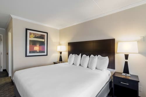 Best Western St. Louis-Kirkwood Route 66, Room