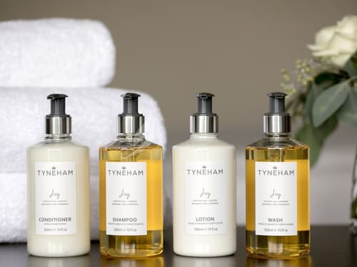 Inn at Laurel Point, Room