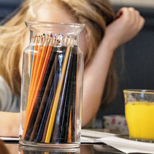 Hotel Paradis, Reception