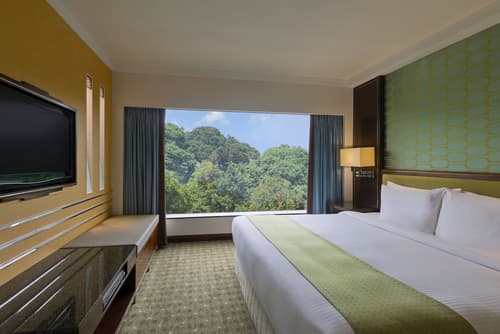 Holiday Inn Singapore Orchard City Centre by IHG