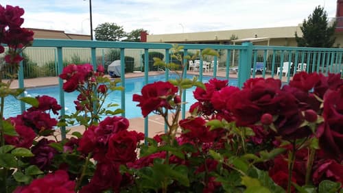 Days Inn by Wyndham Santa Fe New Mexico, Outdoor pool