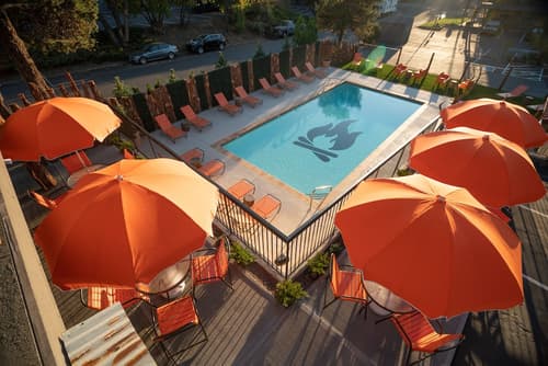 Campfire Hotel, Primary image