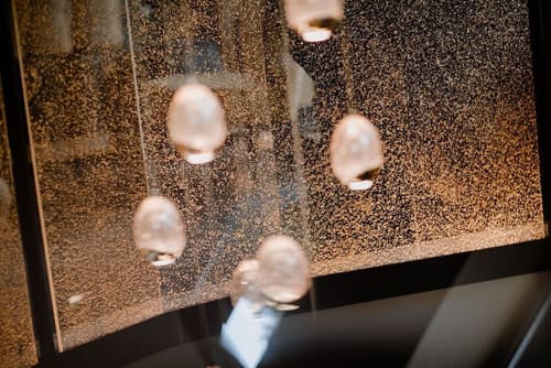 Prince Albert Lyon Bercy