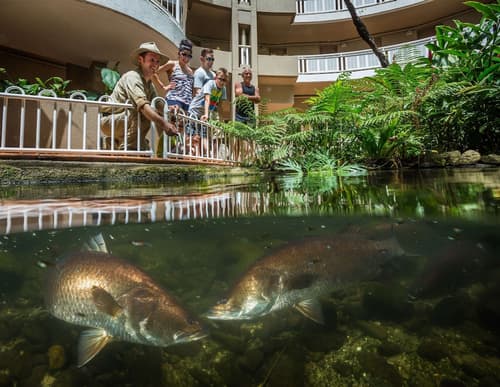 DoubleTree by Hilton Hotel Cairns, Lobby