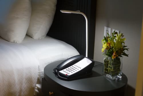 Crowne Plaza Managua by IHG, Room