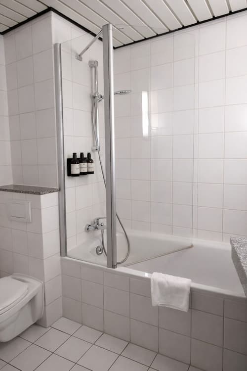 Hotel Dresden Neustadt