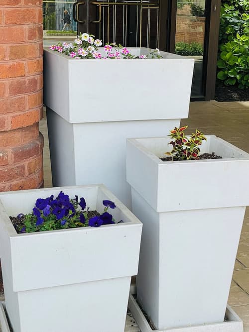 Lynchburg Grand Essential