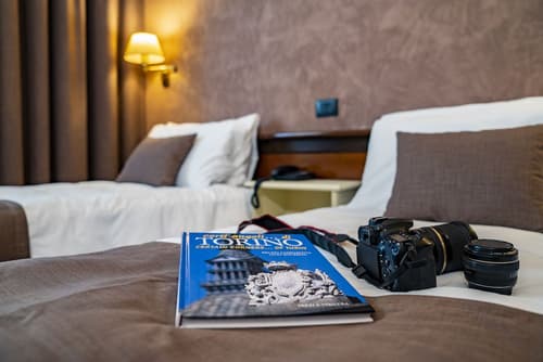 Hotel Plaza Torino, Room