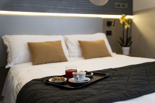 Hotel Plaza Torino, Room