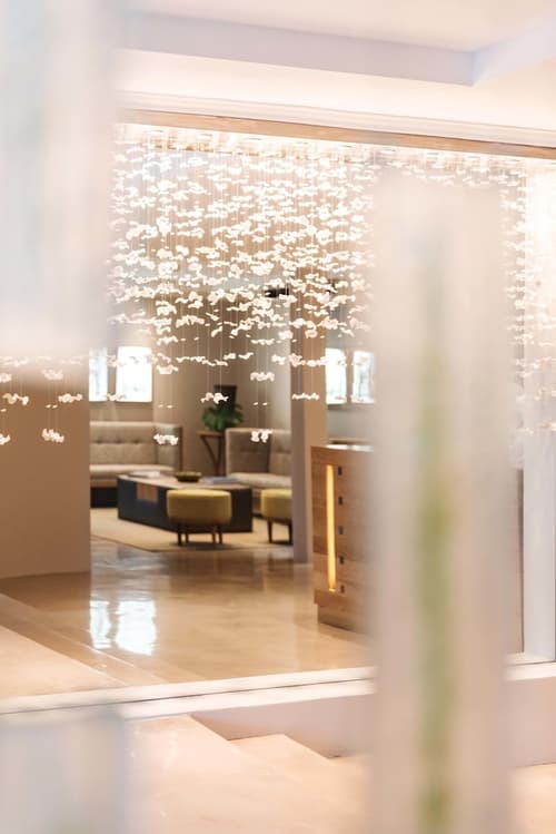 Cape Town Hollow Boutique Hotel, Reception