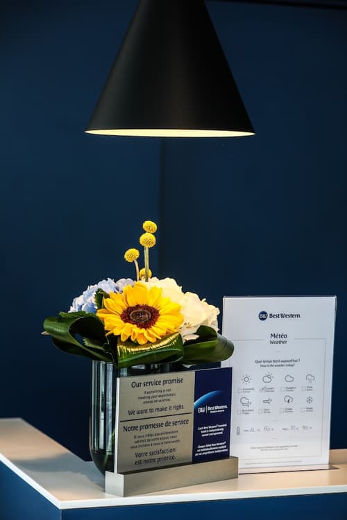 Best Western Mulhouse Salvator Centre, Reception