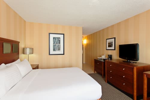 Holiday Inn Sacramento Downtown-Arena by IHG, Room