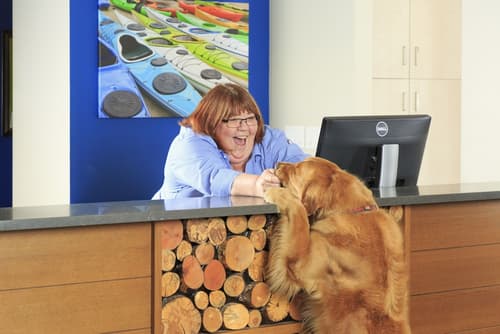 Accent Inns Kelowna, Reception