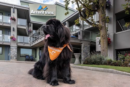 Accent Inns Kelowna