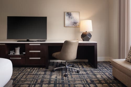 Hilton Orlando Lake Buena Vista - Disney Springs® Area, Room