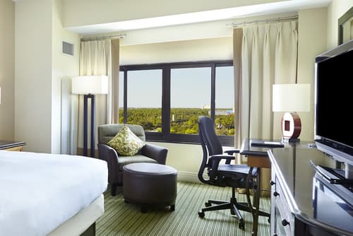 Hilton Orlando Lake Buena Vista - Disney Springs® Area, Room