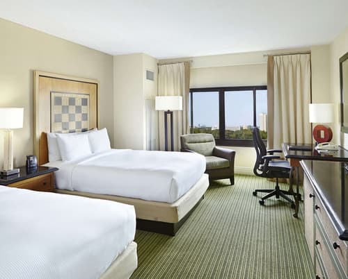 Hilton Orlando Lake Buena Vista - Disney Springs® Area, Room