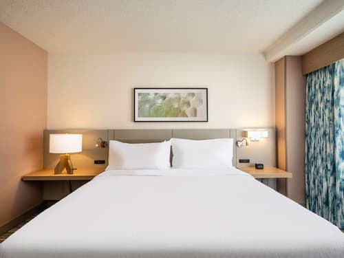 Hilton Garden Inn Toledo Downtown