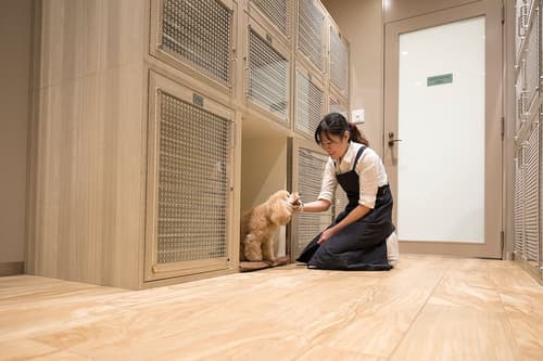 Sheraton Grande Tokyo Bay Hotel