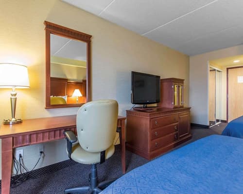 Quality Inn & Suites Bay Front, Room