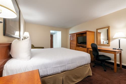 Grand Vista Hotel, Room