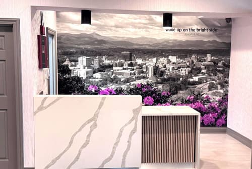 Country Inn & Suites by Radisson Asheville Downtown Tunnel Road, Lobby