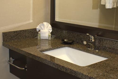 Grand Royal Hotel O'Hare - Chicago, Bathroom