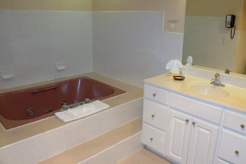 Grand Royal Hotel O'Hare - Chicago, Bathroom