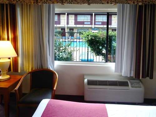 Mardi Gras Hotel & Casino, Room