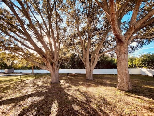 La Quinta Inn by Wyndham Clearwater Central, BBQ/picnic area