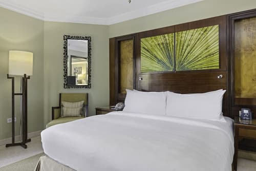 Hilton Luxor Resort & Spa