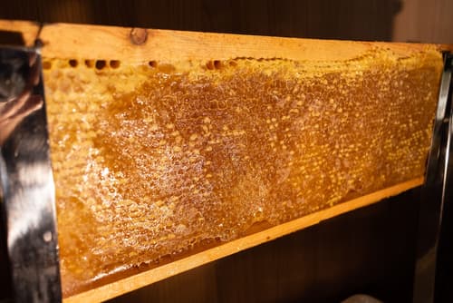 Hilton Garden Inn Brussels City Centre