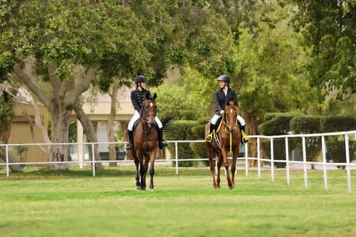Intercontinental Al Jubail by IHG, Fitness facility