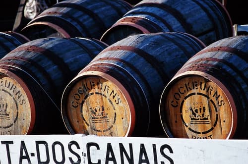 Novotel Porto Gaia, Winery