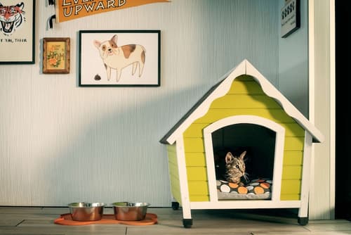 the Curtis Denver - a DoubleTree by Hilton Hotel