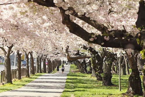 Chateau on the Park - Christchurch, a DoubleTree by Hilton, Sports facility
